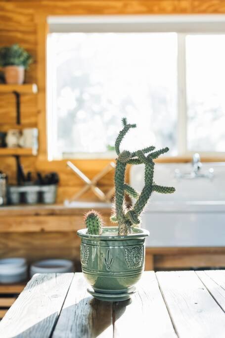 Joshua Tree Hidden Tower * Views - Landmark Yucca Valley Exterior foto